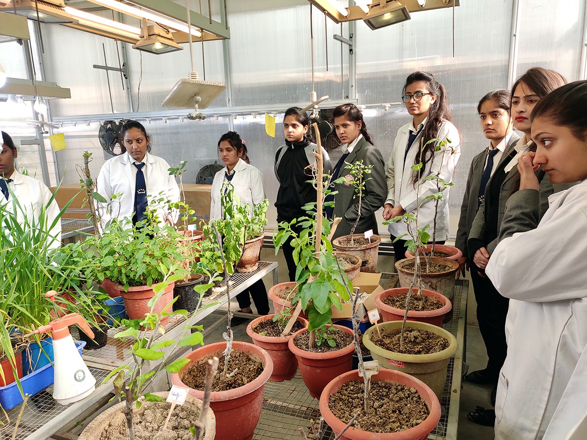 Shri Guru Ram Rai University - others