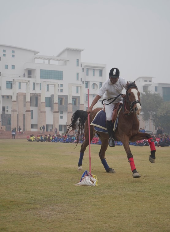 Suresh Gyan Vihar University Jaipur - others