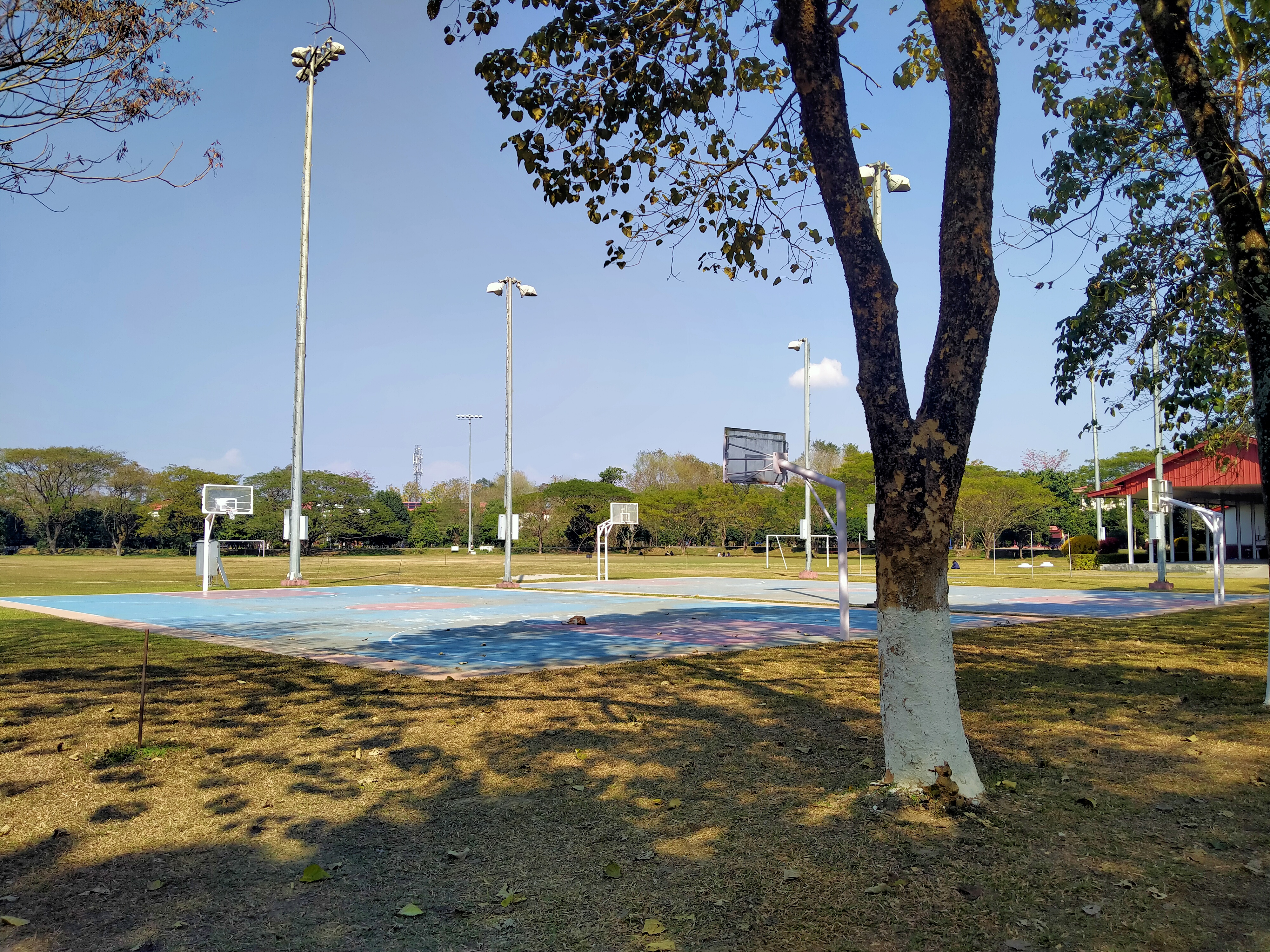 Tezpur University - playground