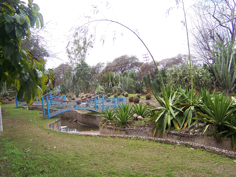 University of Jammu - campus