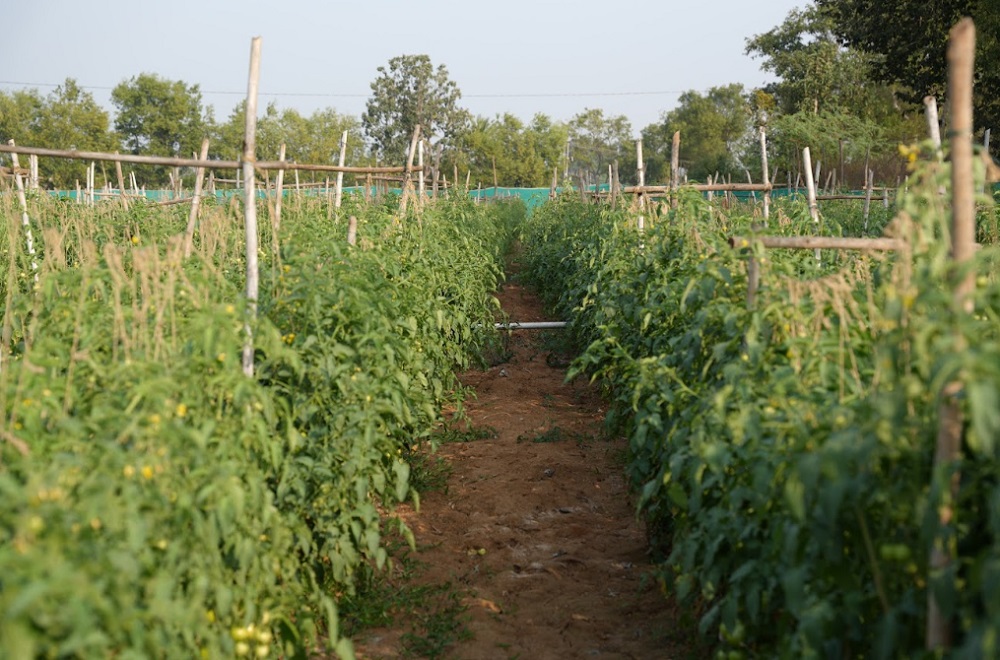 Vignana Jyothi Institute of Management - others