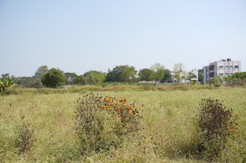 Vignana Jyothi Institute of Management - others