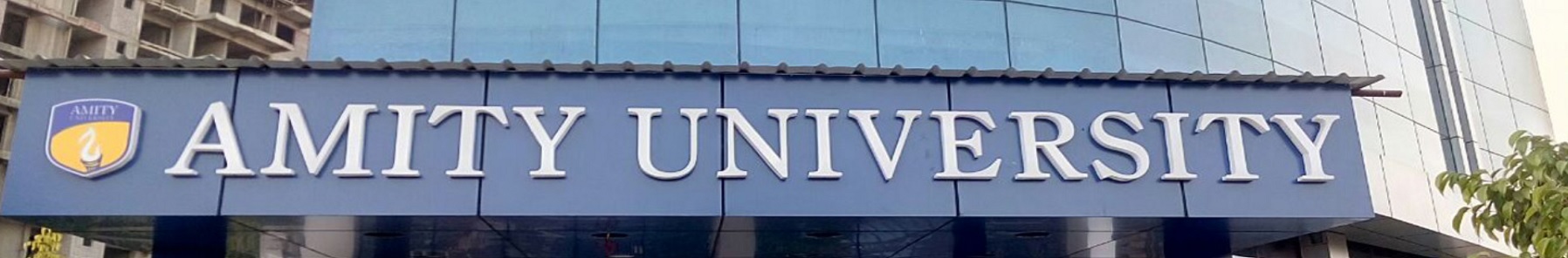 Amity University Patna - others