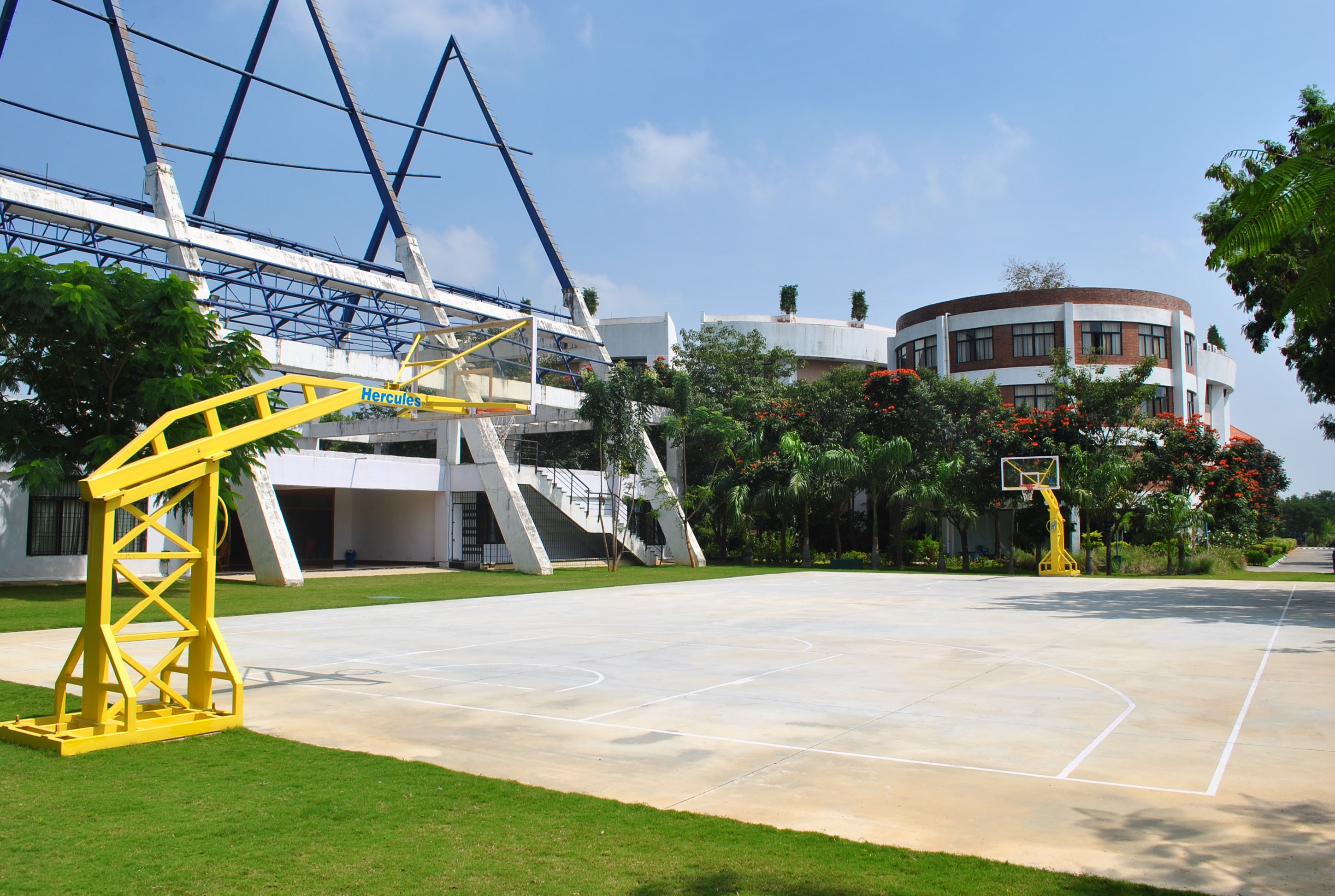 Alliance University, Bangalore - sports