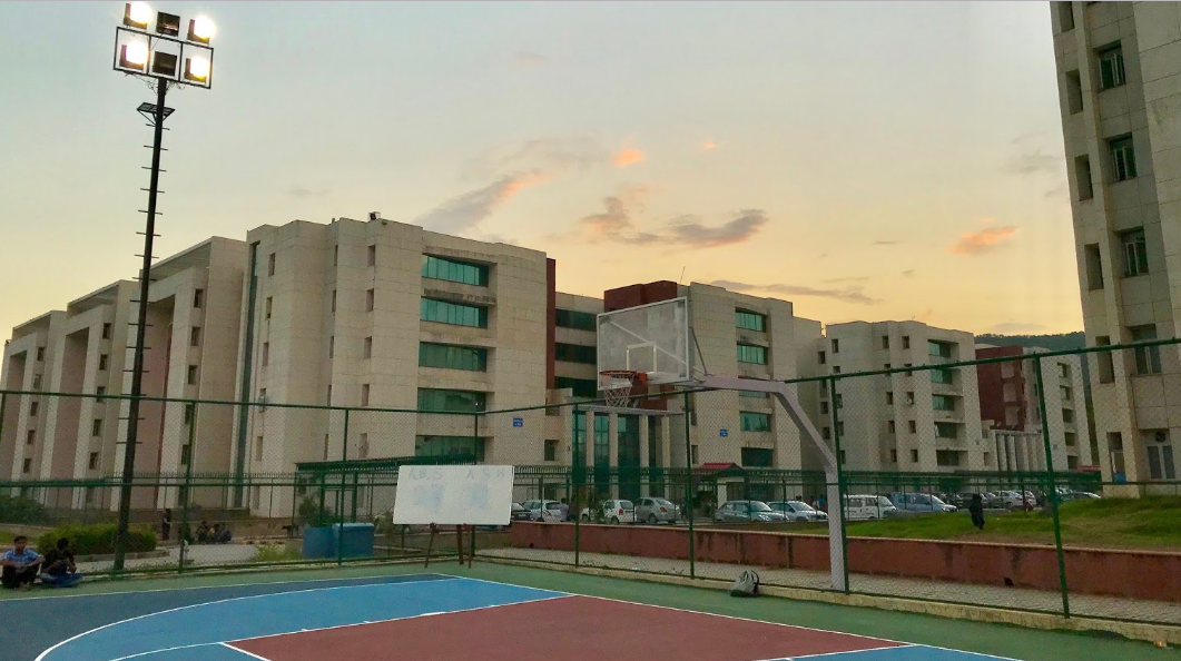 Amity University Jaipur - sports
