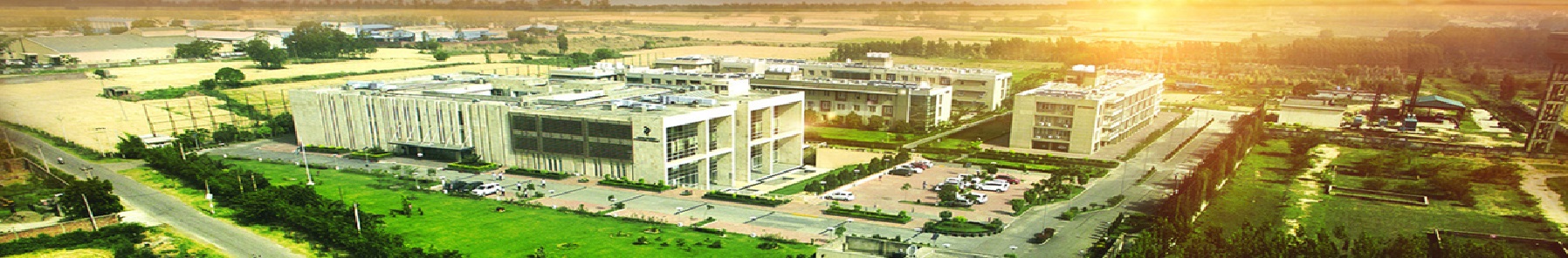 LM Thapar School of Management - others