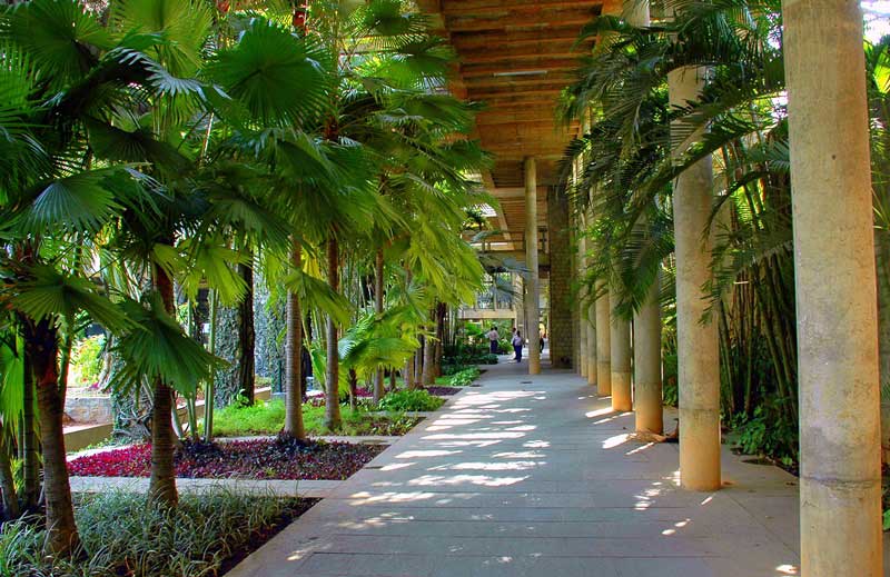 IIM Bangalore - Indian Institute of Management - campus