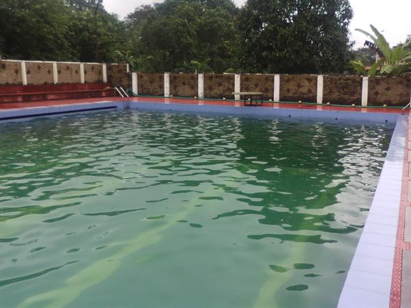 National Institute of Technology - [NITC] - swimming