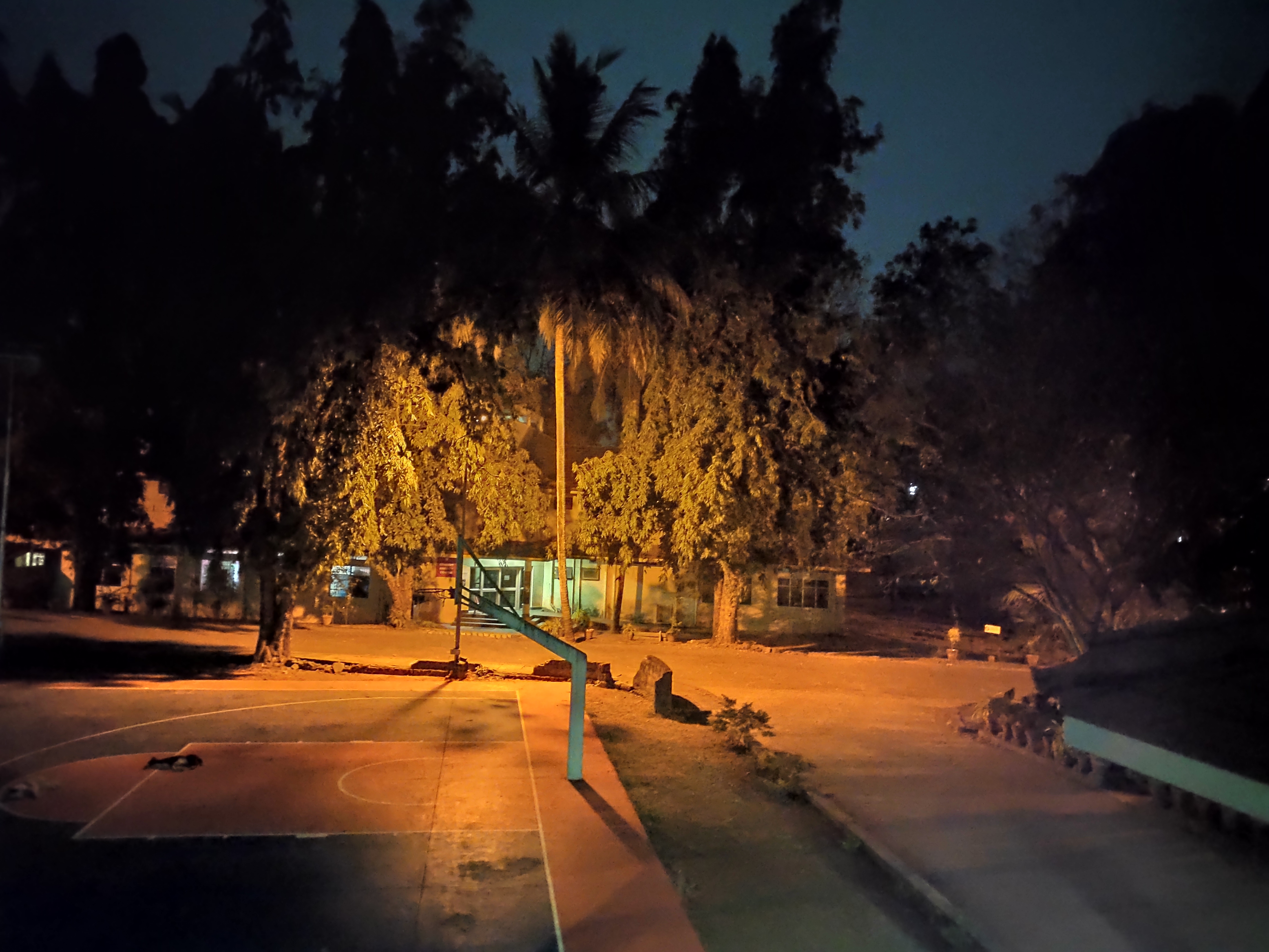 National Institute of Technology - [NITC] - night