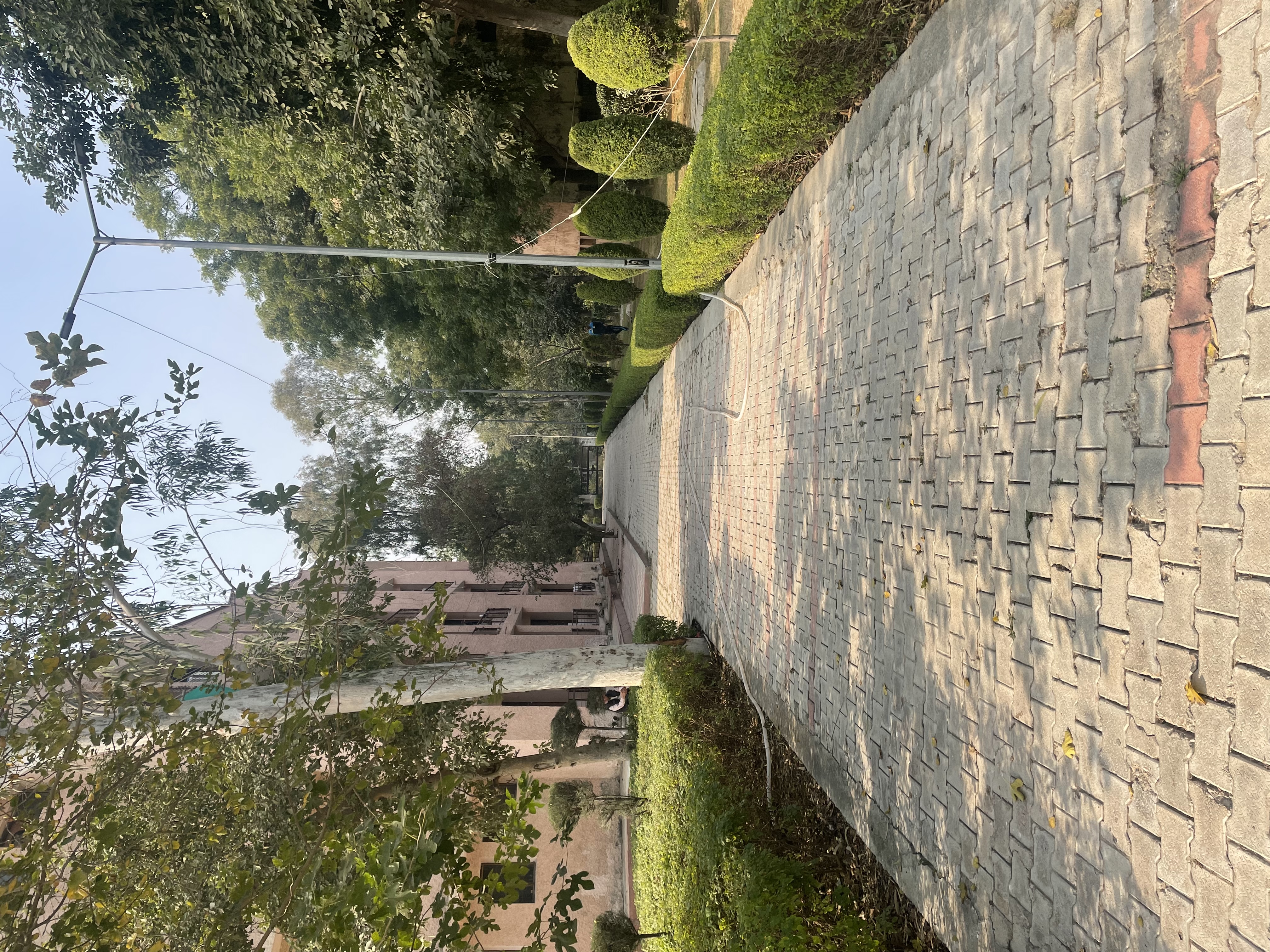 Pt Bhagwat Dayal Sharma Post Graduate Institute of Medical Sciences - [PGIMS] - campus