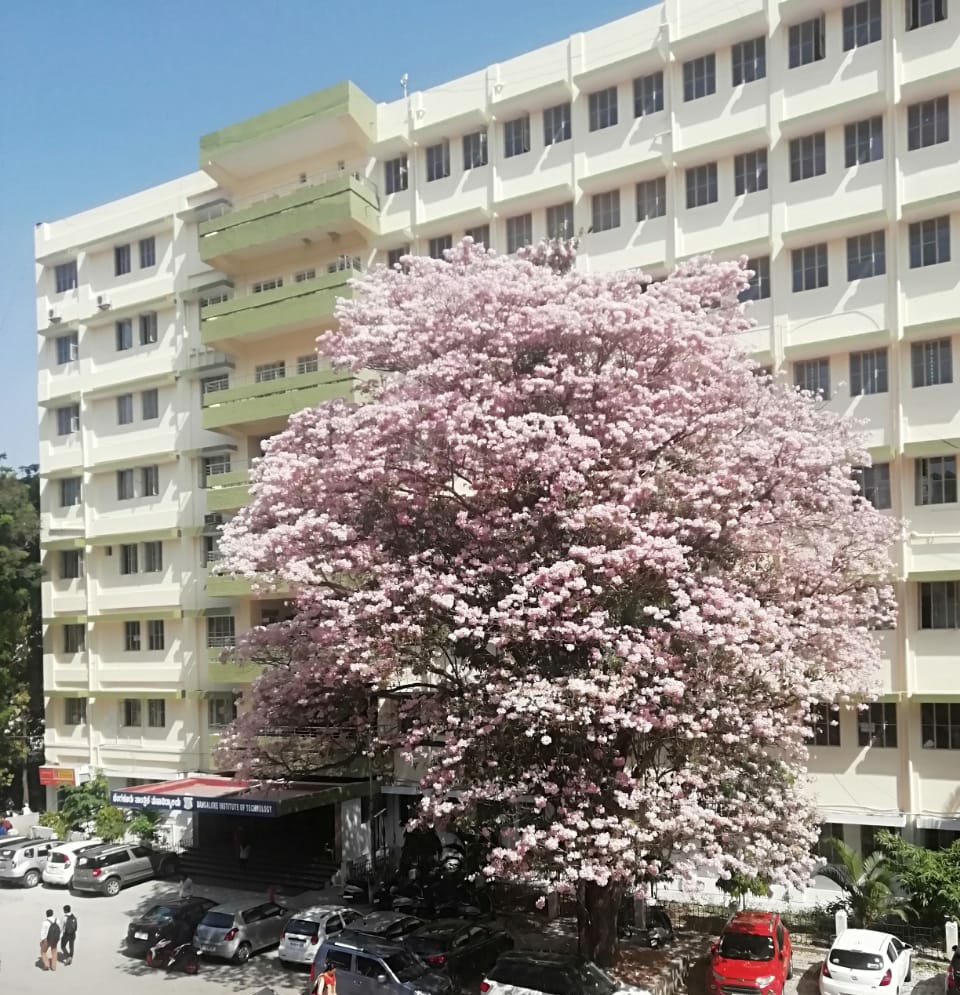 Bangalore Institute of Technology - [BIT] - campus