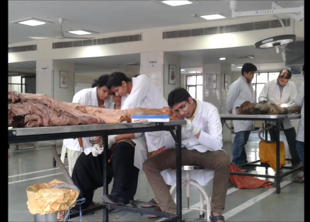Vardhman Mahavir Medical College - [VMMC] - labs