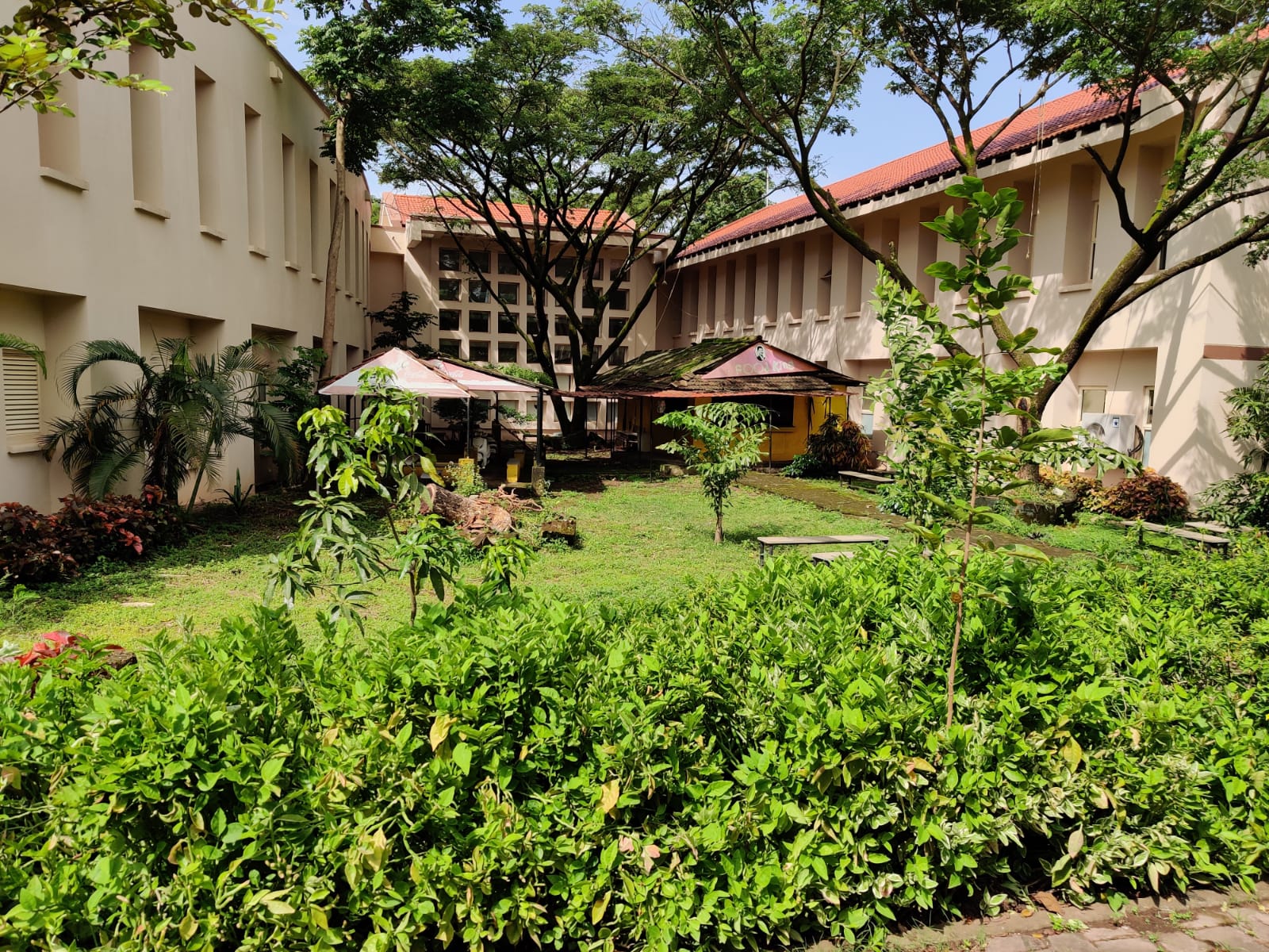 Birla Institute of Technology and Science - [BITS] - campus