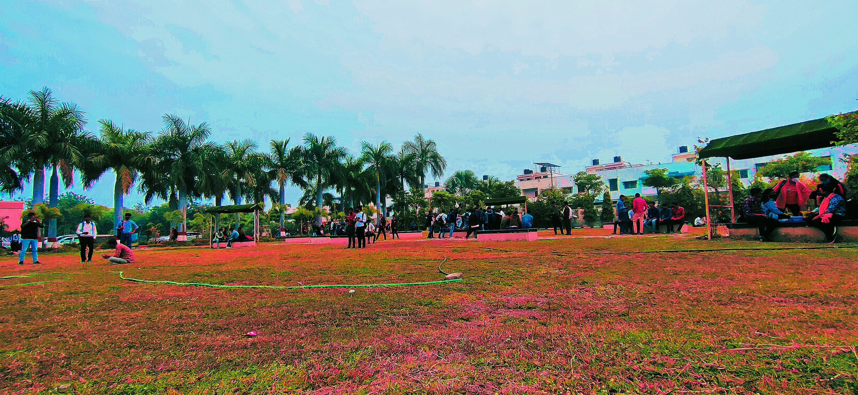 Sagar Institute of Research and Technology - [SIRT] - playground