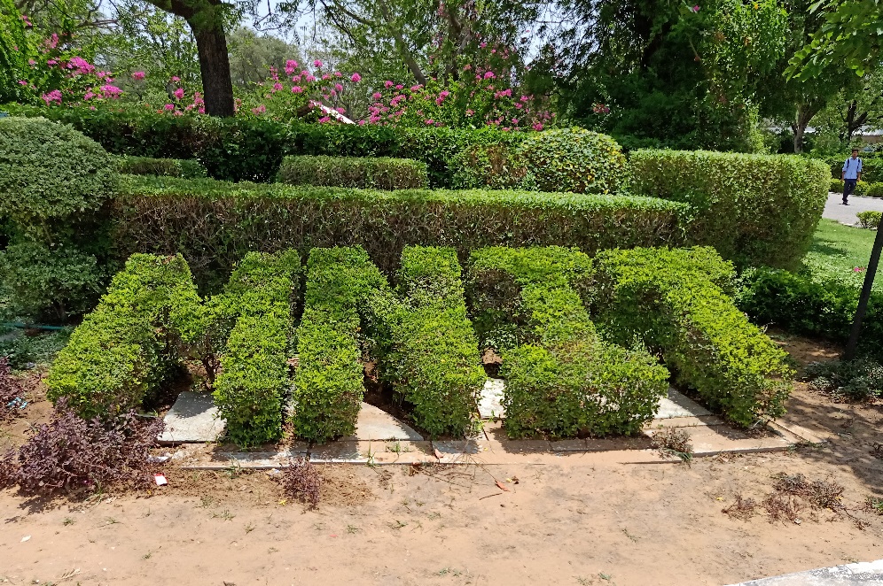 Malaviya National Institute of Technology - [MNIT] - campus