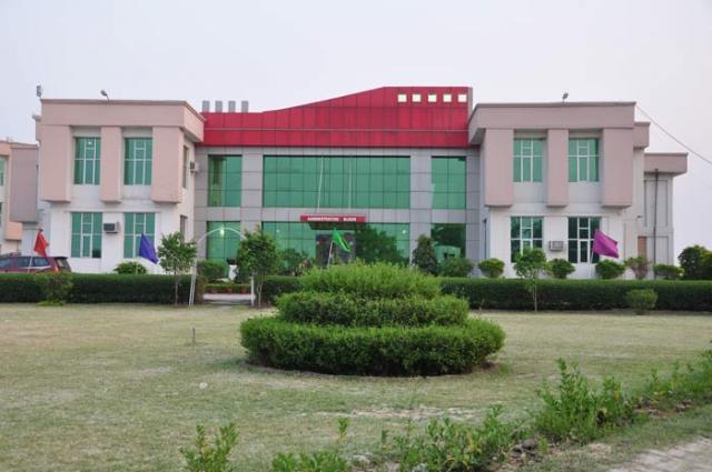 college background