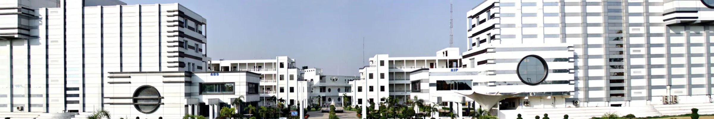 college background