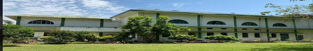 college background