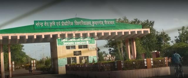 college background