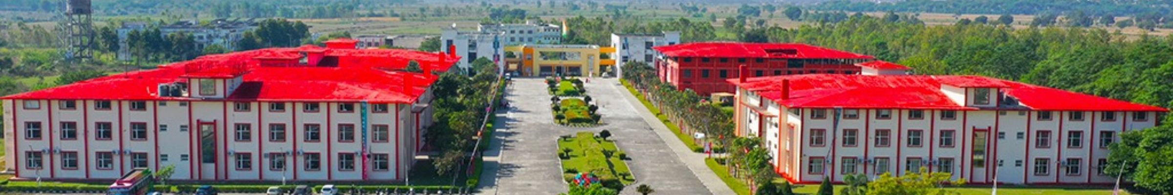 college background