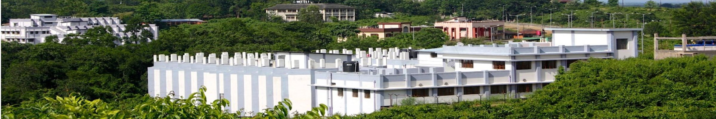 college background