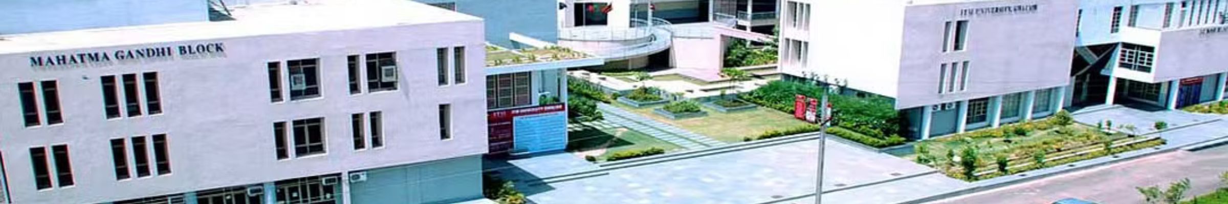 college background