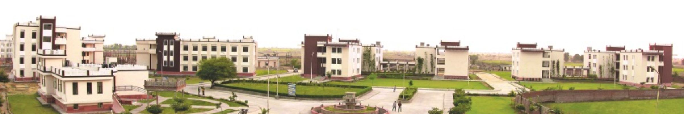 college background
