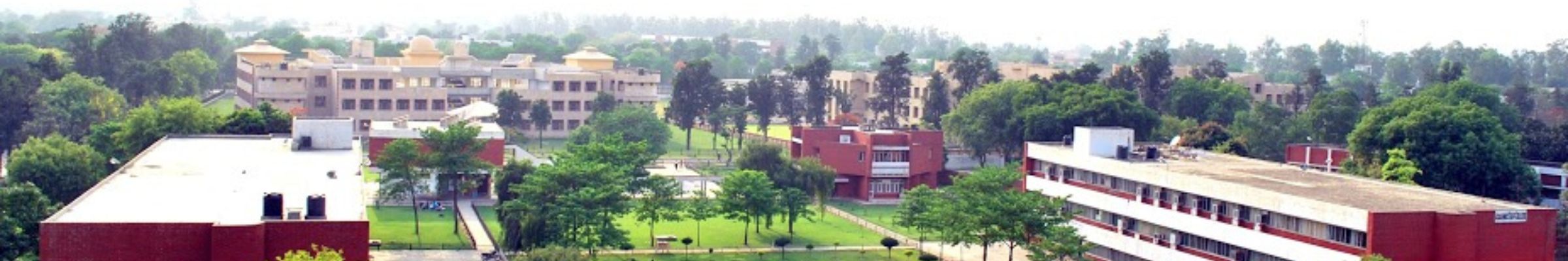 college background