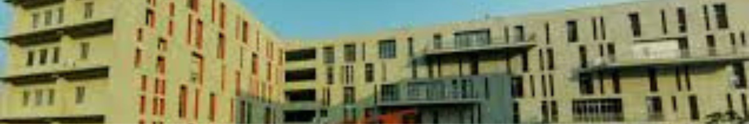 college background