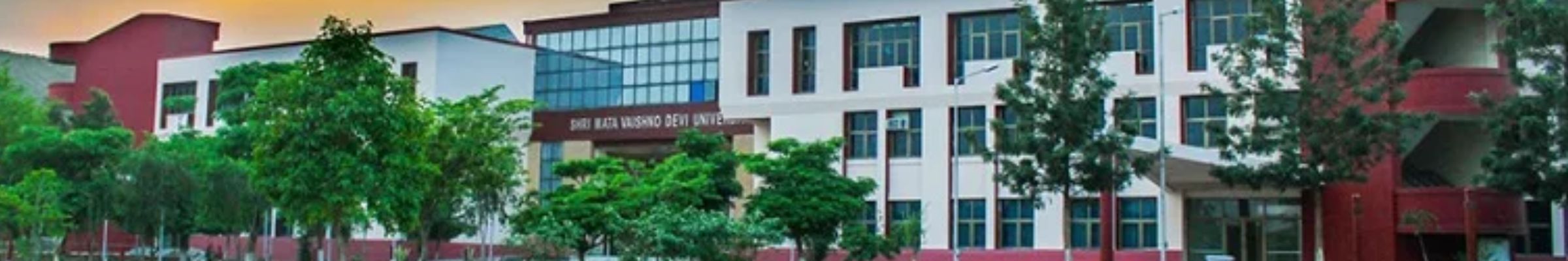 college background