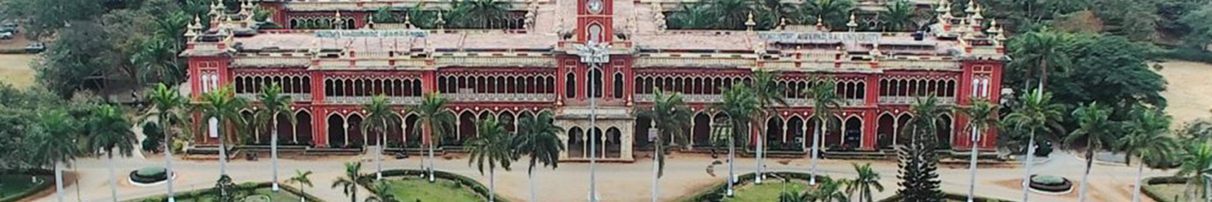 college background