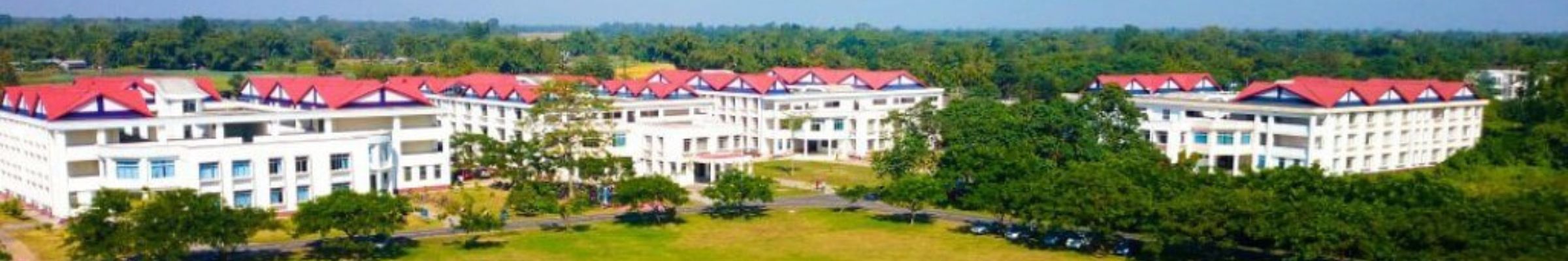 college background