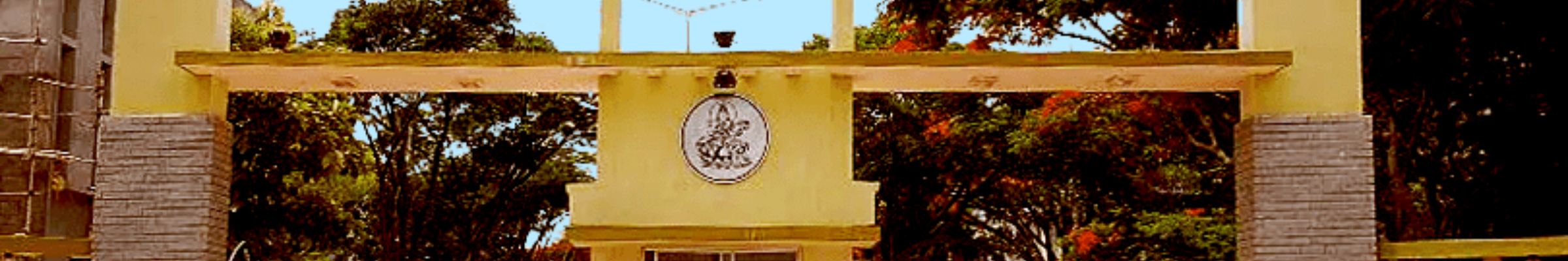 college background