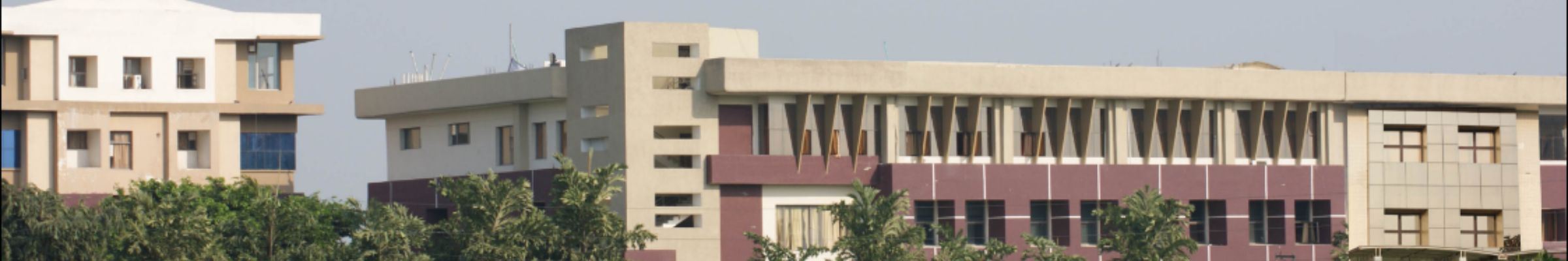 college background