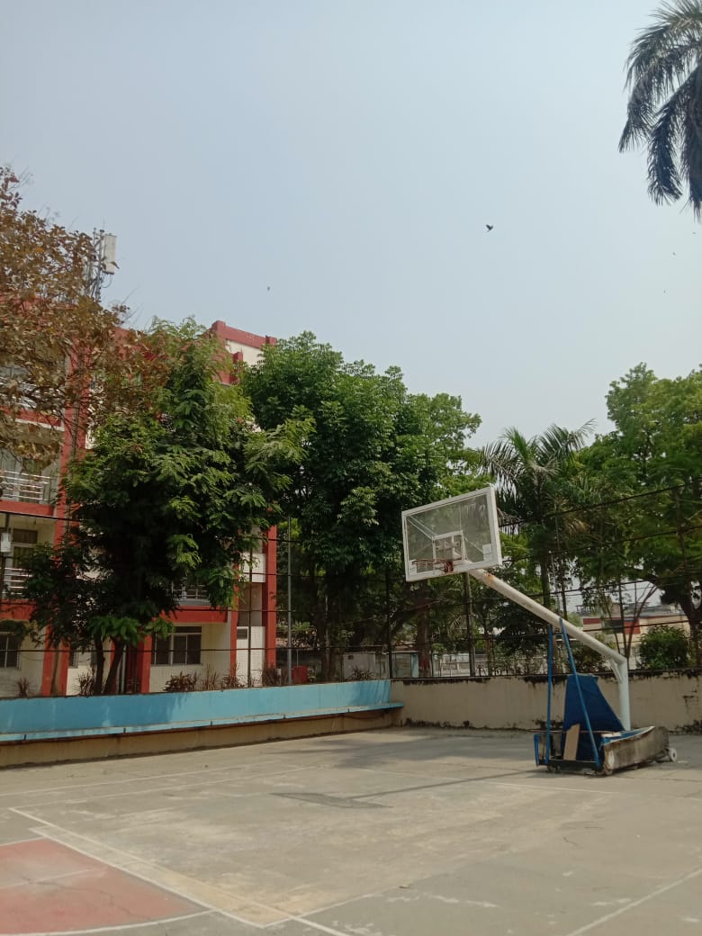 NIT Patna (NITP) - lawn