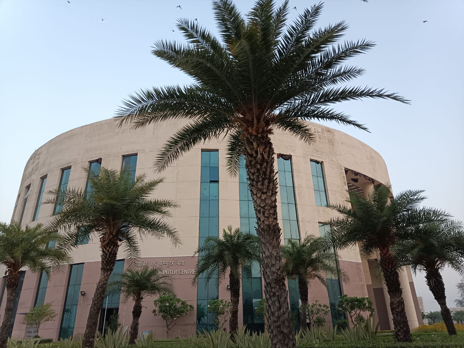 RGIPT - library