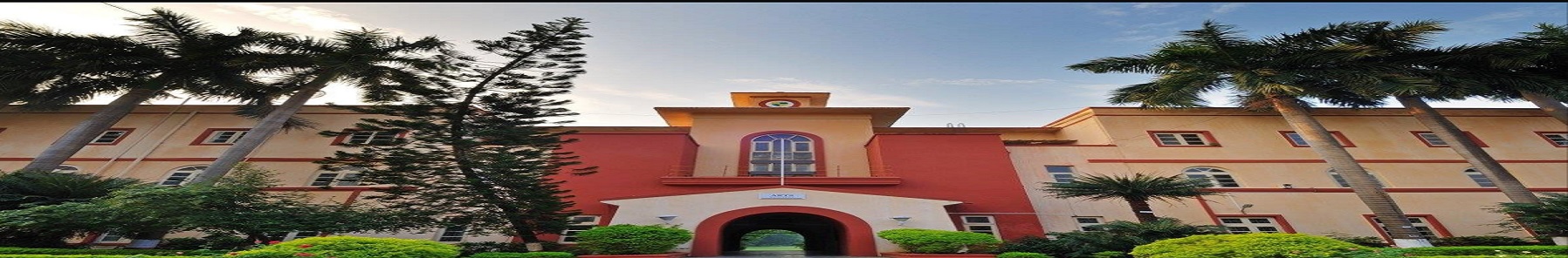 Ruparel College - others