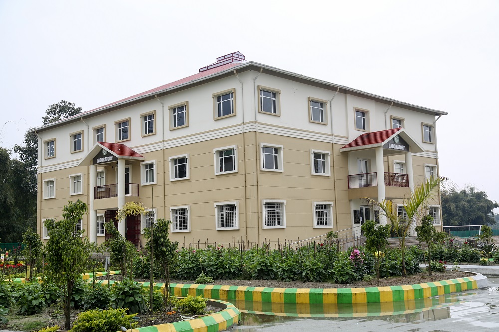 Arunachal University of Studies - campus
