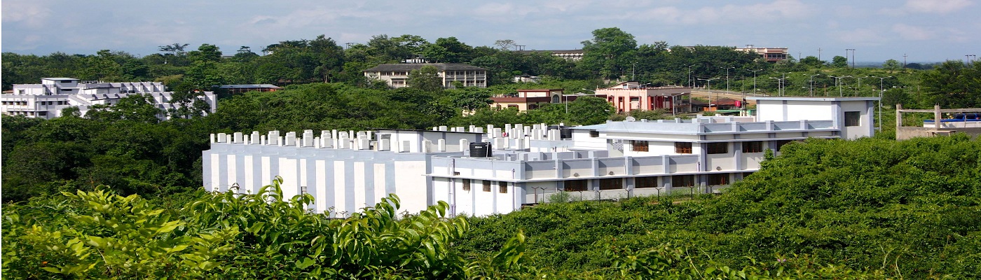 Assam University - campus