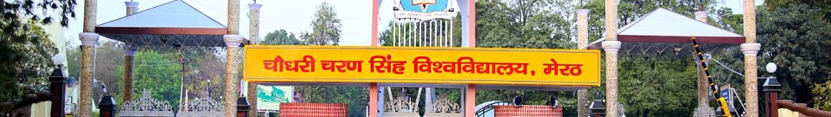 CCSU Meerut University - entrance