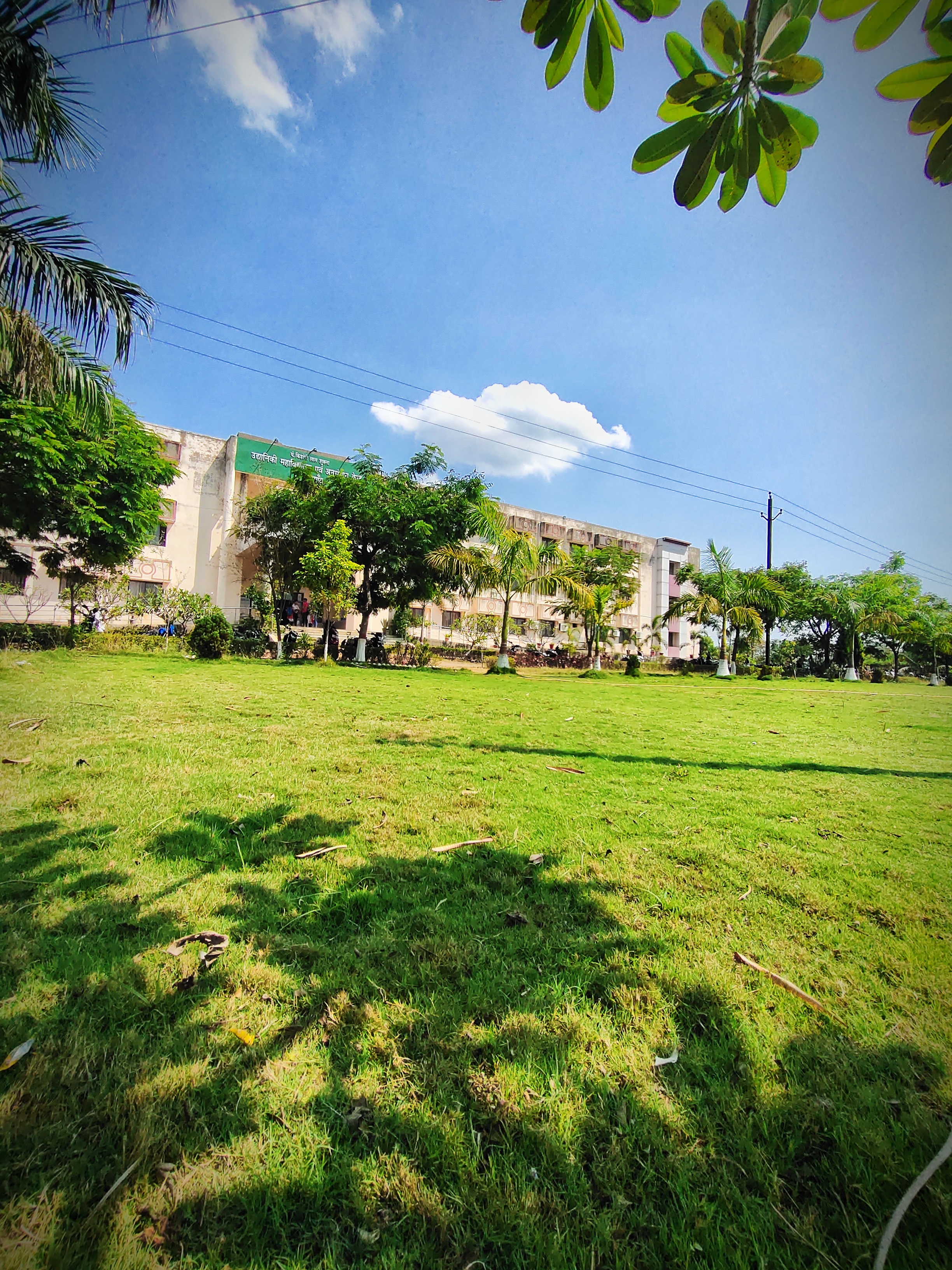 Indira Gandhi Krishi Vishwavidyalaya - campus