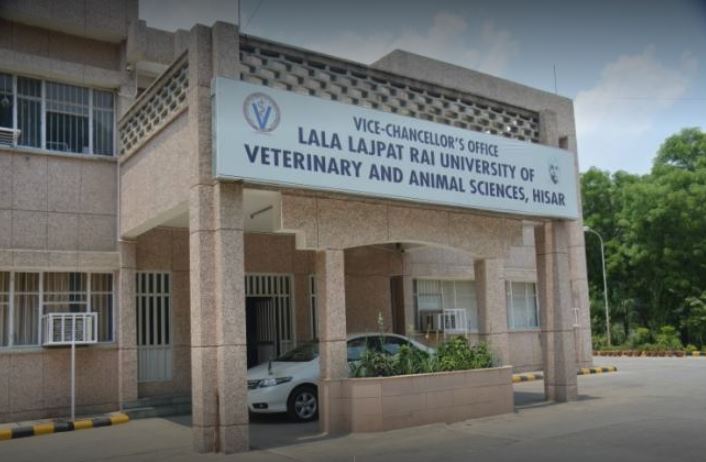 Lala Lajpat Rai University of Veterinary and Animal Sciences - campus