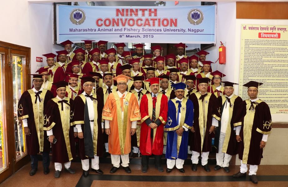 Maharashtra Animal and Fishery Sciences University - convocation