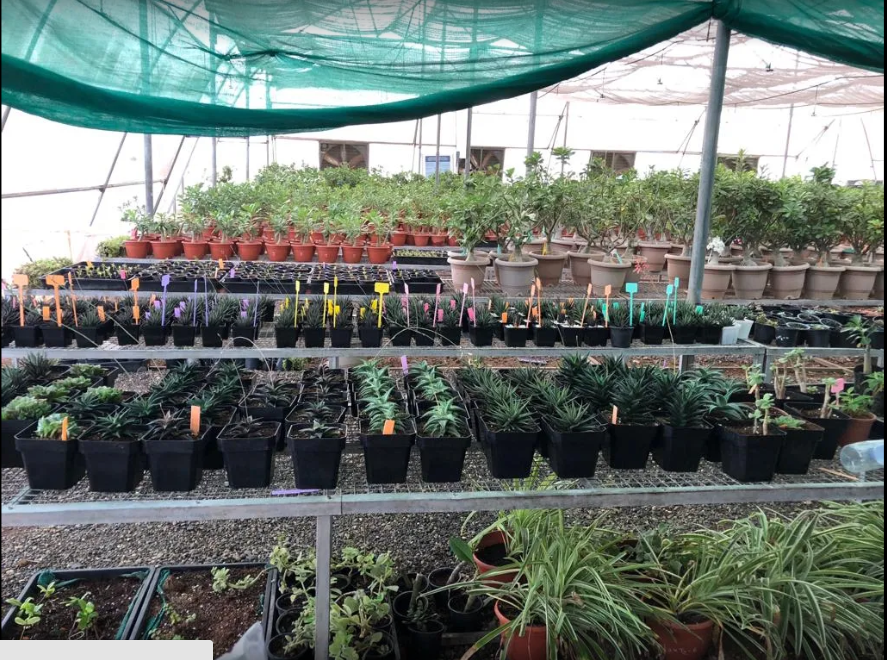 Navsari Agricultural University - campus