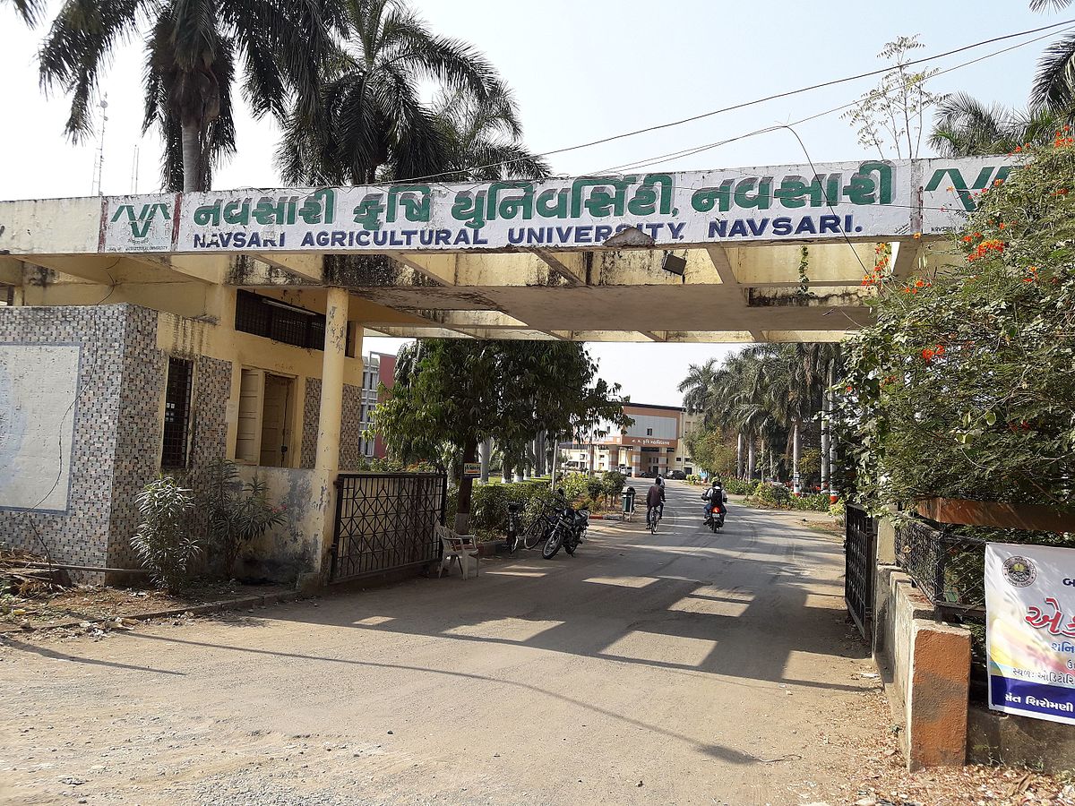 Navsari Agricultural University - entrance