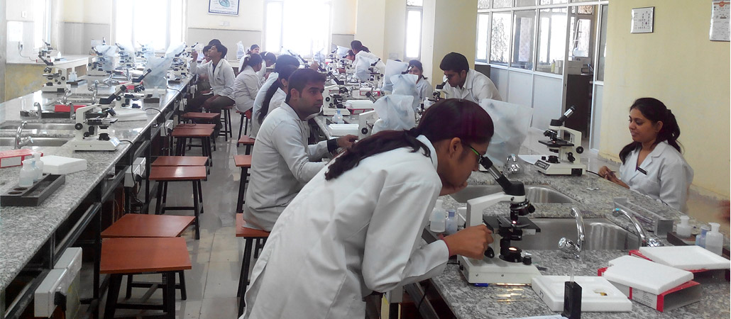 RUHS Jaipur - labs