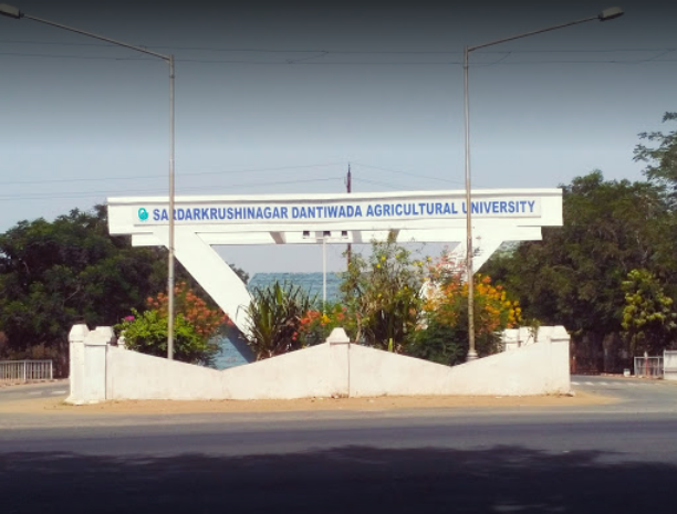 Sardarkrushinagar Dantiwada Agricultural University - campus