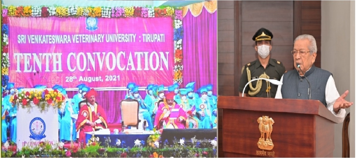 SVVU - convocation