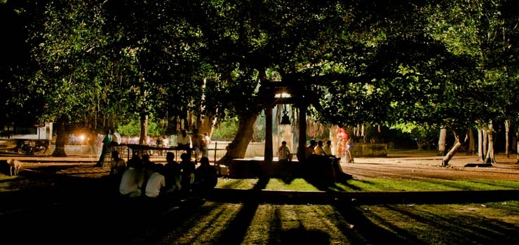 Visva Bharati University - Courses, Fees, Admission 2024, Cut Off, Ranking - night