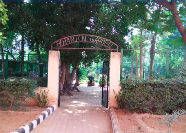 Sri Venkateswara College - Delhi - others